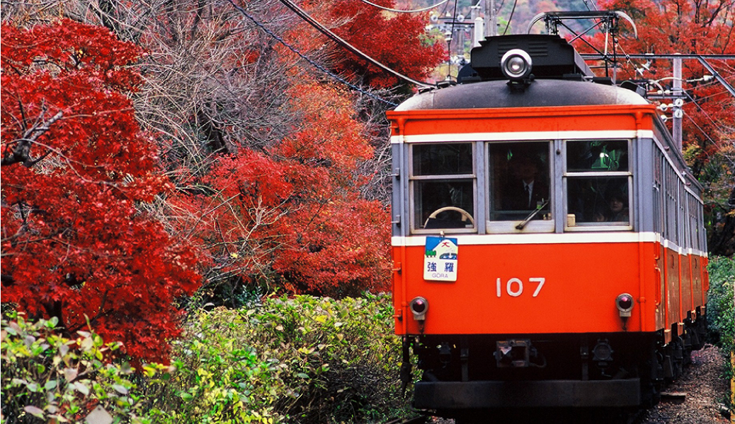 箱根登山鉄道 [DVD]